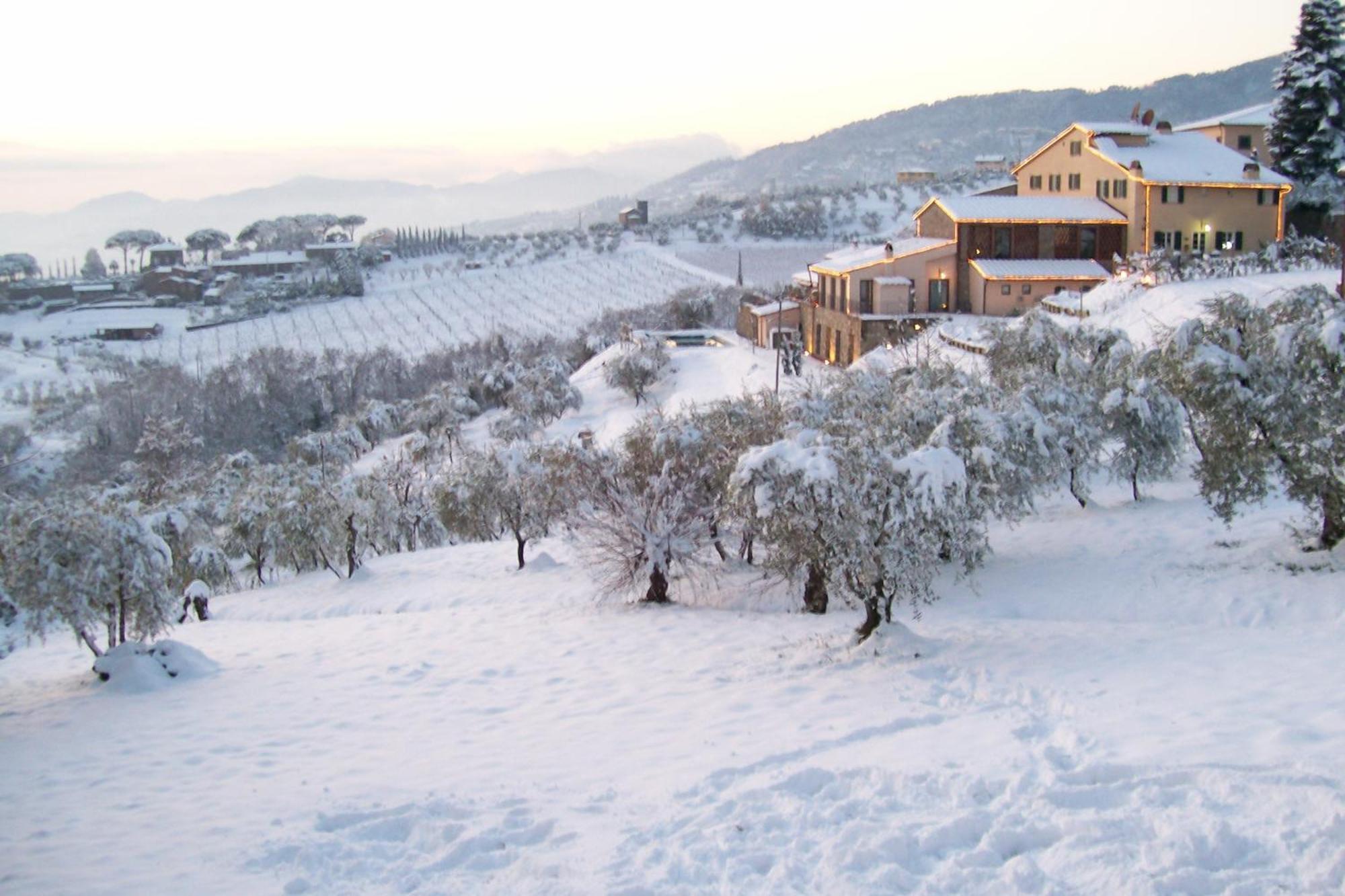 Tenuta San Pietro Luxury Hotel Lucca Eksteriør bilde