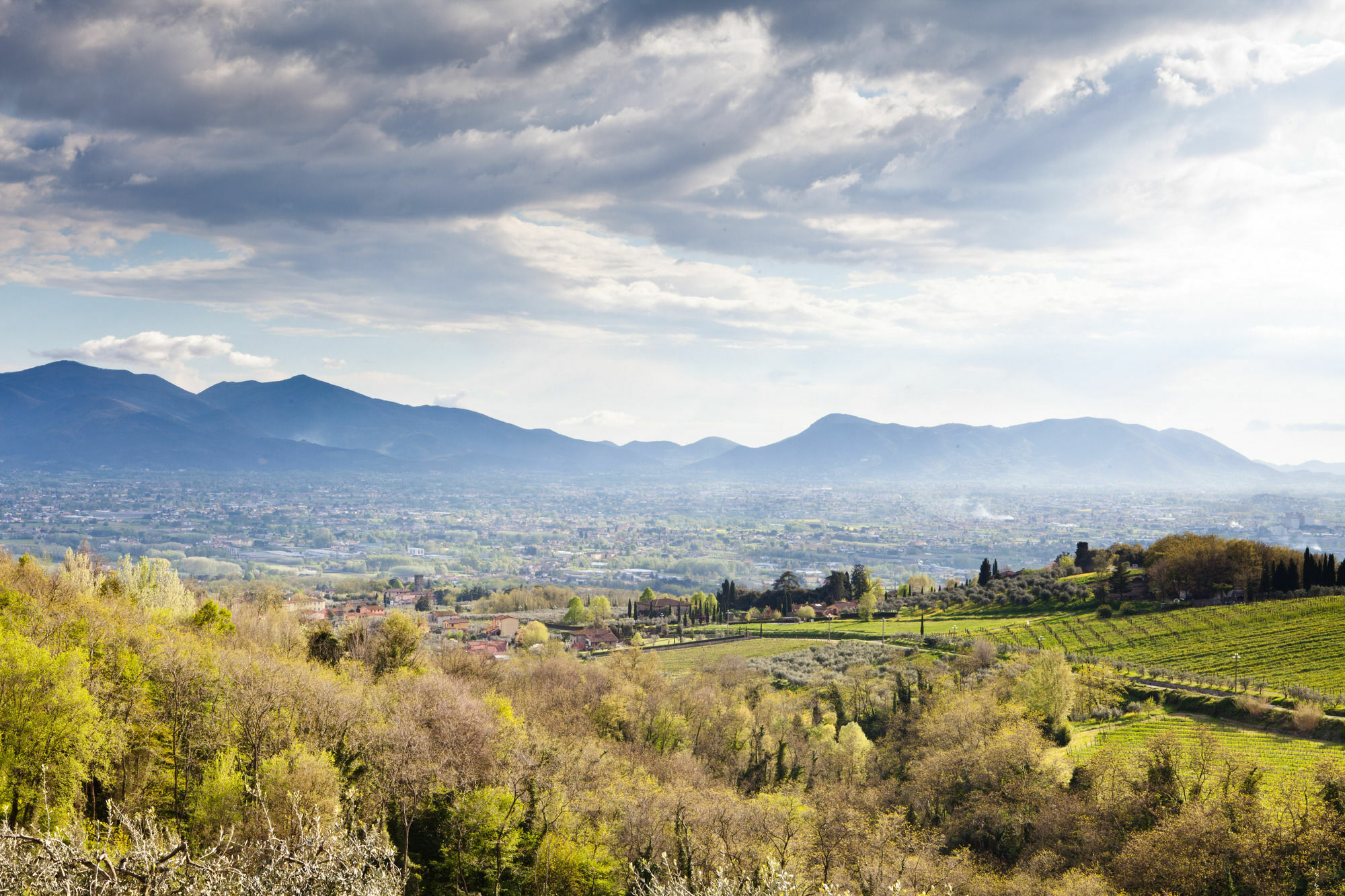 Tenuta San Pietro Luxury Hotel Lucca Eksteriør bilde